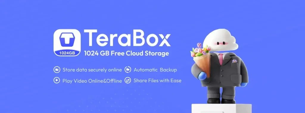 What is TeraBox?