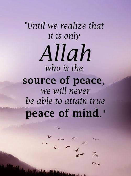 Thematic Islamic Quotes for Daily Inspiration